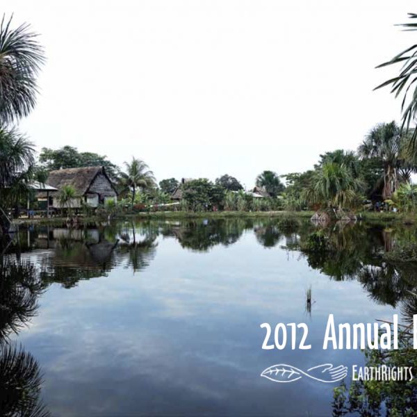 2012 Annual Report
