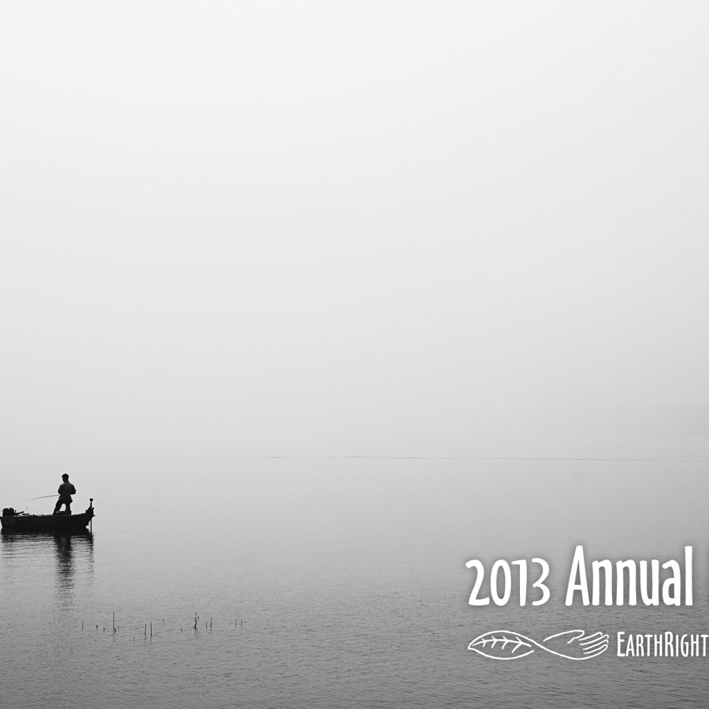 2013-annual-report-cover.jpg
