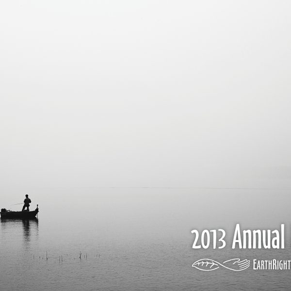 2013 Annual Report