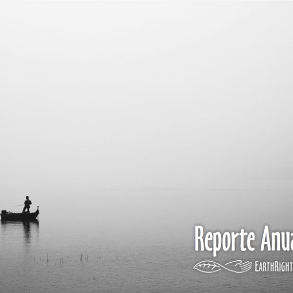 Reporte Anual 2013