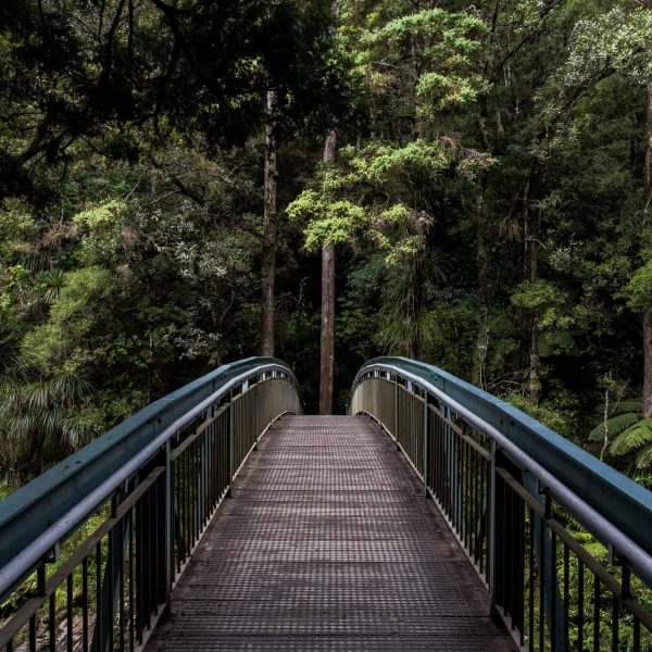 Latin American Countries Have Signed on to Protect Earth Rights Defenders. But Will It Work?