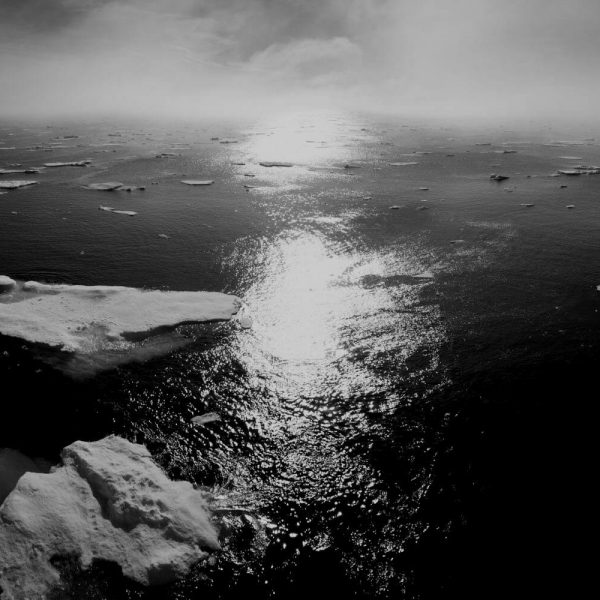 Congress Should Investigate the Oil Industry’s Role in Causing the Climate Crisis